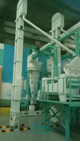 Automatic Rice Water Polisher Buffing Mill Machine Rice Silky Machine