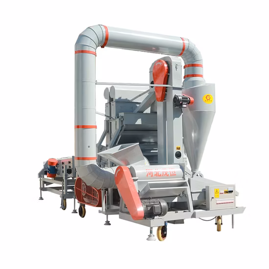 종자 작물 곡물 드