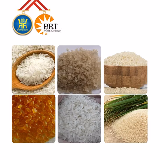 인공 쌀 기계를 만드는 스테인레스 스틸 압출 영양 가공